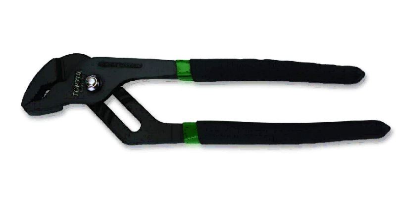 Cleste papagal